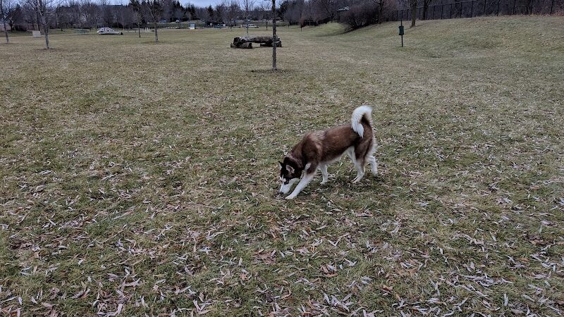 Freedom Run Dog Park - Hoffman Estates, IL