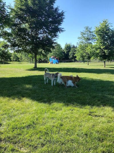 Freedom Run Dog Park - Hoffman Estates, IL