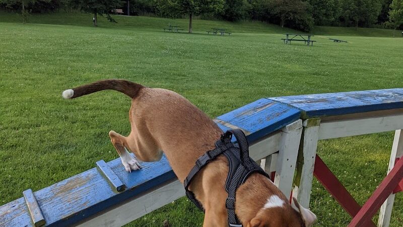 Freedom Run Dog Park - Hoffman Estates, IL