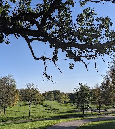 Freedom Run Dog Park - Hoffman Estates, IL
