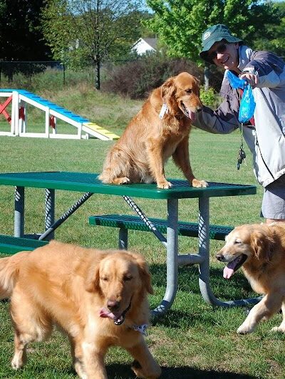 Freedom Run Dog Park - Hoffman Estates, IL