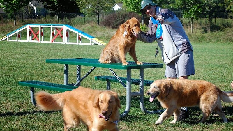 Freedom Run Dog Park - Hoffman Estates, IL