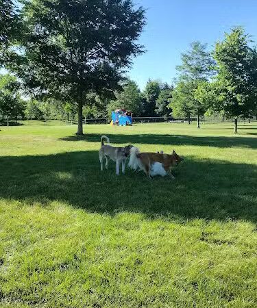 Freedom Run Dog Park - Hoffman Estates, IL