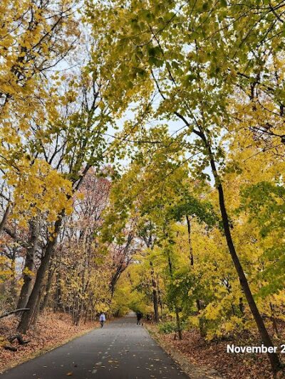 Vanderbilt Motor Parkway - Hollis Hills, NY