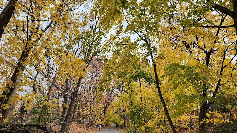 Vanderbilt Motor Parkway - Hollis Hills, NY