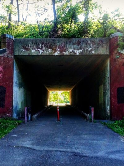 Vanderbilt Motor Parkway - Hollis Hills, NY