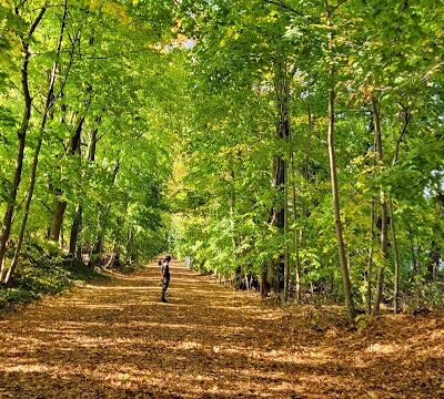 Vanderbilt Motor Parkway - Hollis Hills, NY