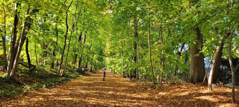 Vanderbilt Motor Parkway - Hollis Hills, NY