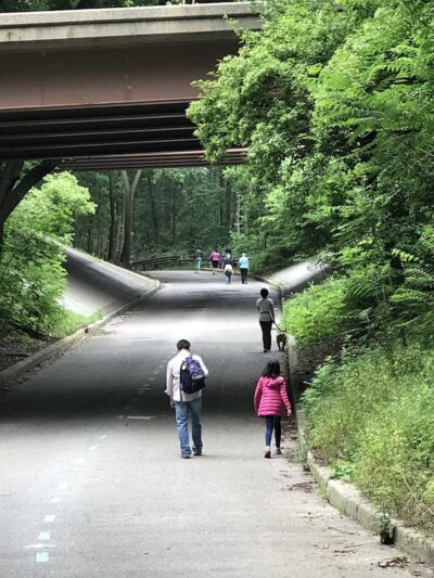 Vanderbilt Motor Parkway - Hollis Hills, NY
