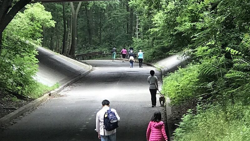 Vanderbilt Motor Parkway - Hollis Hills, NY