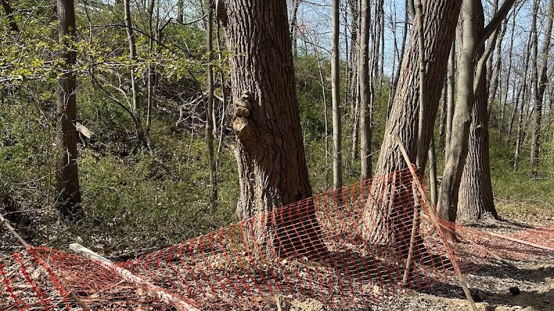 Vanderbilt Motor Parkway - Hollis Hills, NY