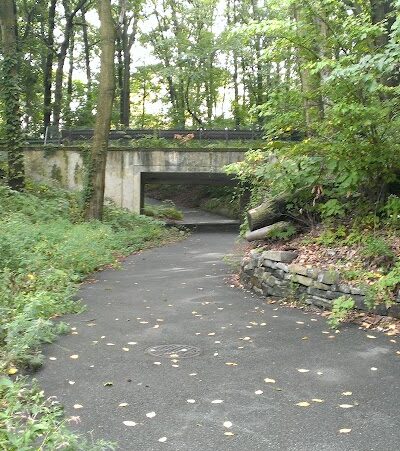 Vanderbilt Motor Parkway - Hollis Hills, NY