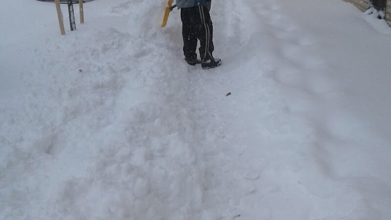 Haggerty Park - Hollis, NY