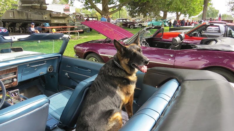 Homedale Art in the Park