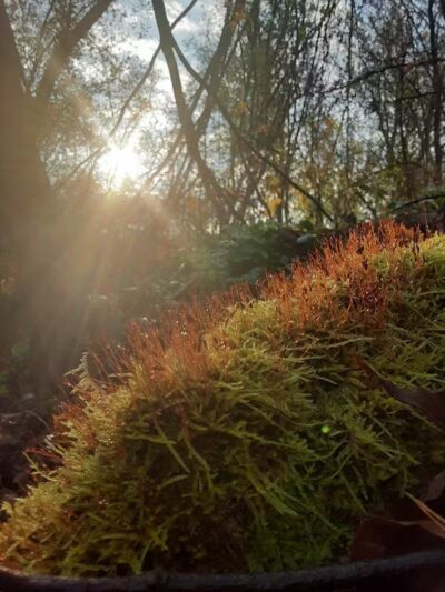 Hoosick River Greenway Access & Parking - Hoosick Falls, NY