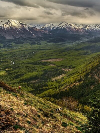 Hope Point Trail - Hope, AK