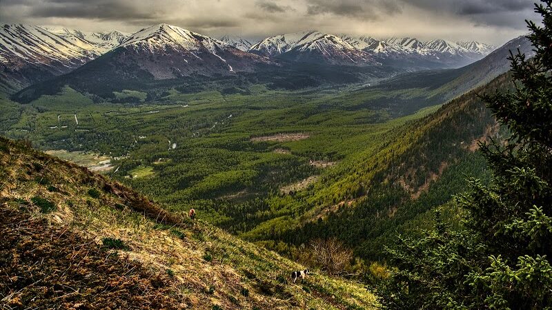 Hope Point Trail - Hope, AK
