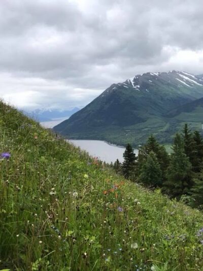 Hope Point Trail - Hope, AK