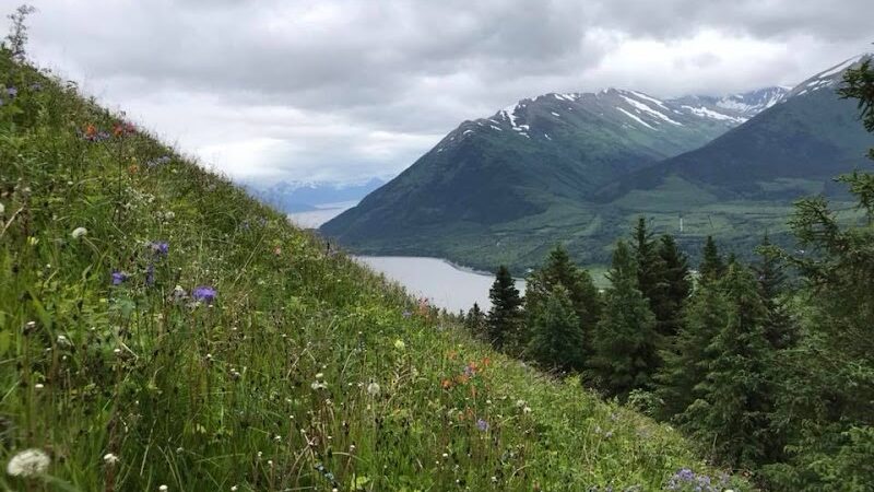 Hope Point Trail - Hope, AK