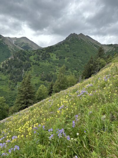 Hope Point Trail - Hope, AK