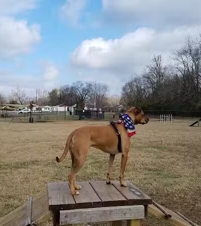 Hopkinsville Dog Park - Hopkinsville, KY