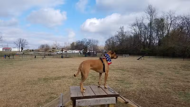Hopkinsville Dog Park - Hopkinsville, KY