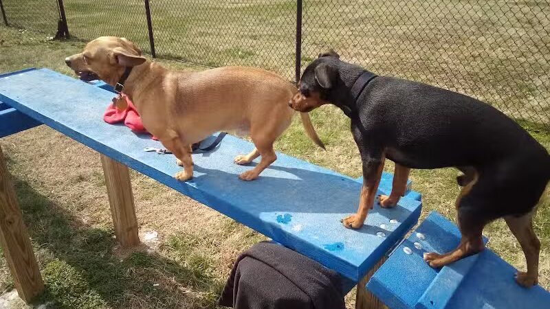 Hopkinsville Dog Park - Hopkinsville, KY