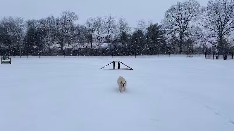 Hopkinsville Dog Park - Hopkinsville, KY