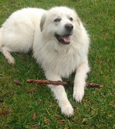 John Gable Community Park - Hoquiam, WA
