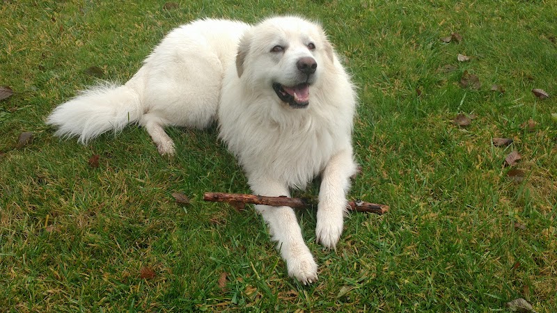 John Gable Community Park - Hoquiam, WA
