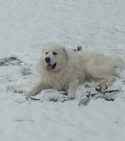 John Gable Community Park - Hoquiam, WA