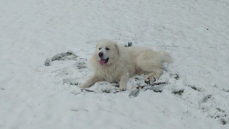 John Gable Community Park - Hoquiam, WA