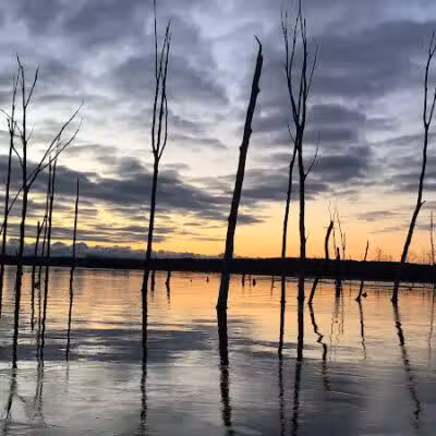 Chestnut Point Manasquan Reservoir - Howell Township, NJ