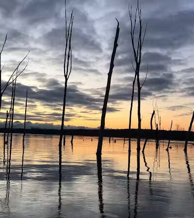 Chestnut Point Manasquan Reservoir - Howell Township, NJ