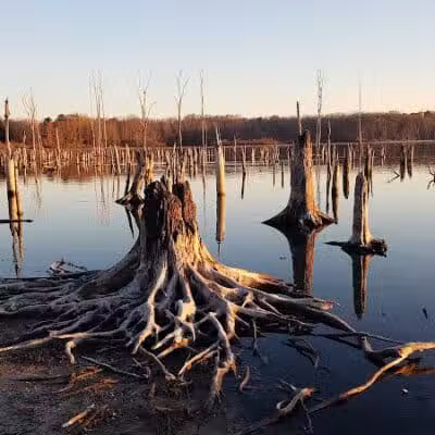 Chestnut Point Manasquan Reservoir - Howell Township, NJ