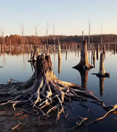 Chestnut Point Manasquan Reservoir - Howell Township, NJ