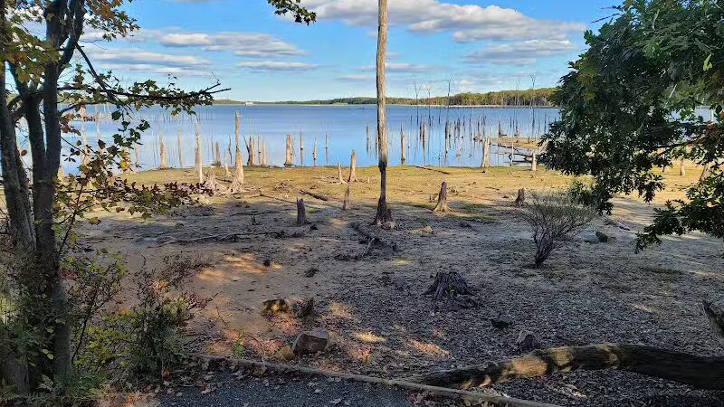 Chestnut Point Manasquan Reservoir - Howell Township, NJ