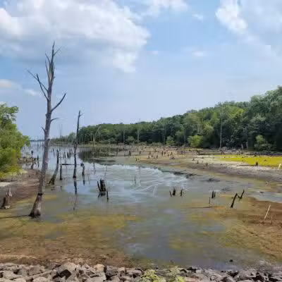 Chestnut Point Manasquan Reservoir - Howell Township, NJ