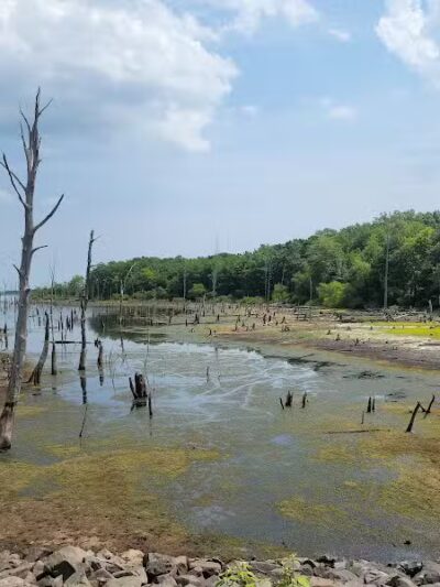Chestnut Point Manasquan Reservoir - Howell Township, NJ
