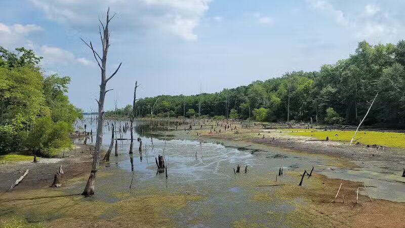 Chestnut Point Manasquan Reservoir - Howell Township, NJ