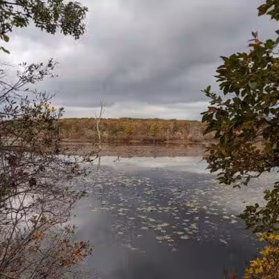 Chestnut Point Manasquan Reservoir - Howell Township, NJ