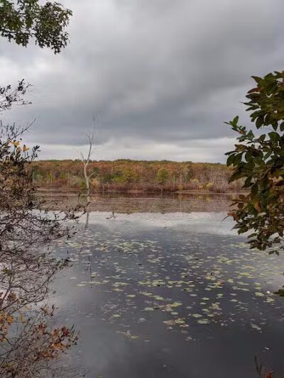 Chestnut Point Manasquan Reservoir - Howell Township, NJ