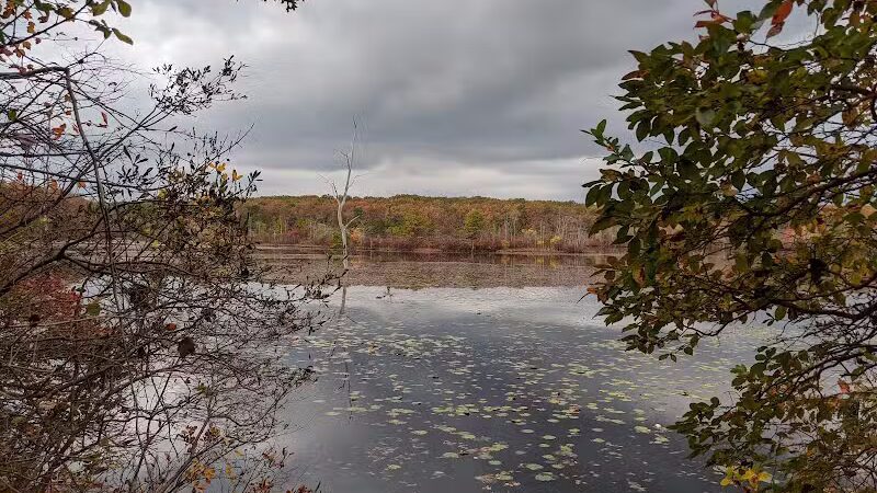 Chestnut Point Manasquan Reservoir - Howell Township, NJ