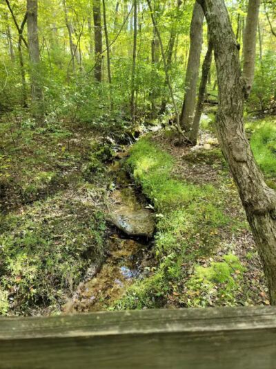 Chestnut Point Manasquan Reservoir - Howell Township, NJ