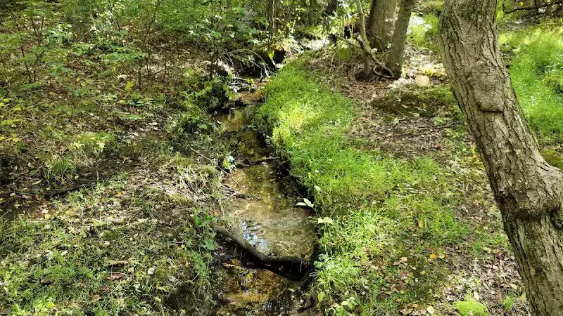 Chestnut Point Manasquan Reservoir - Howell Township, NJ