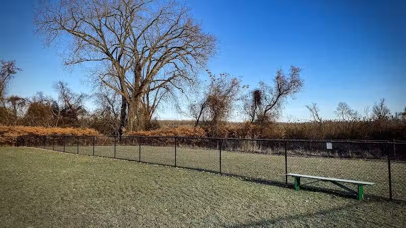 Hudson Dog Park - Hudson, NY
