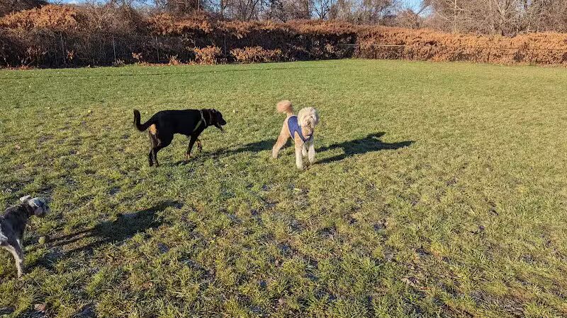 Hudson Dog Park - Hudson, NY