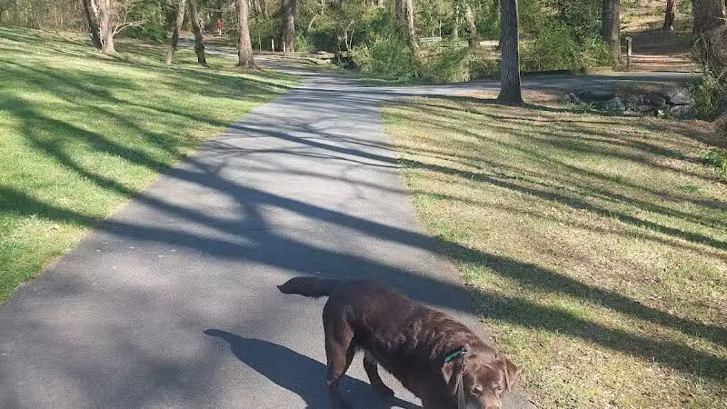 Redwood Dog Park - Hudson, NC