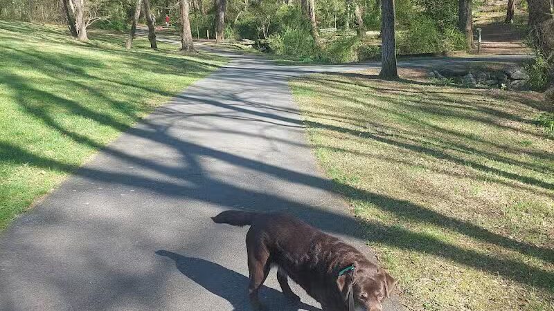 Redwood Dog Park - Hudson, NC