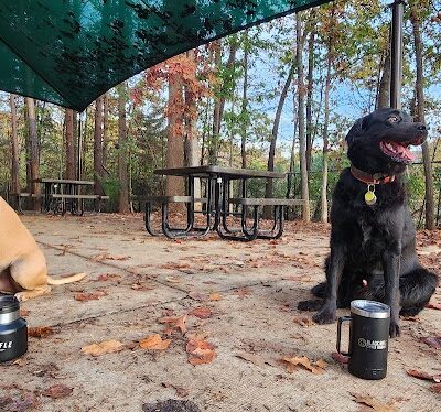 Rosedale Dog Park - Huntersville, NC